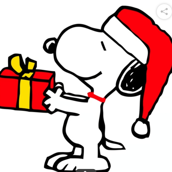 Peanuts Snoopy on Holiday Doghouse Hallmark Christmas Tree Ornament - Picture 15 of 16